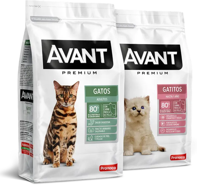 Avant: imagen 2 del caso