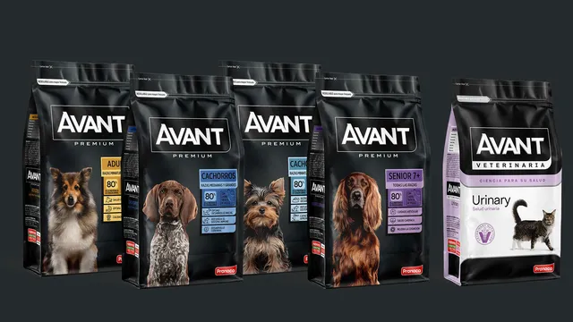 Avant: imagen 3 del caso