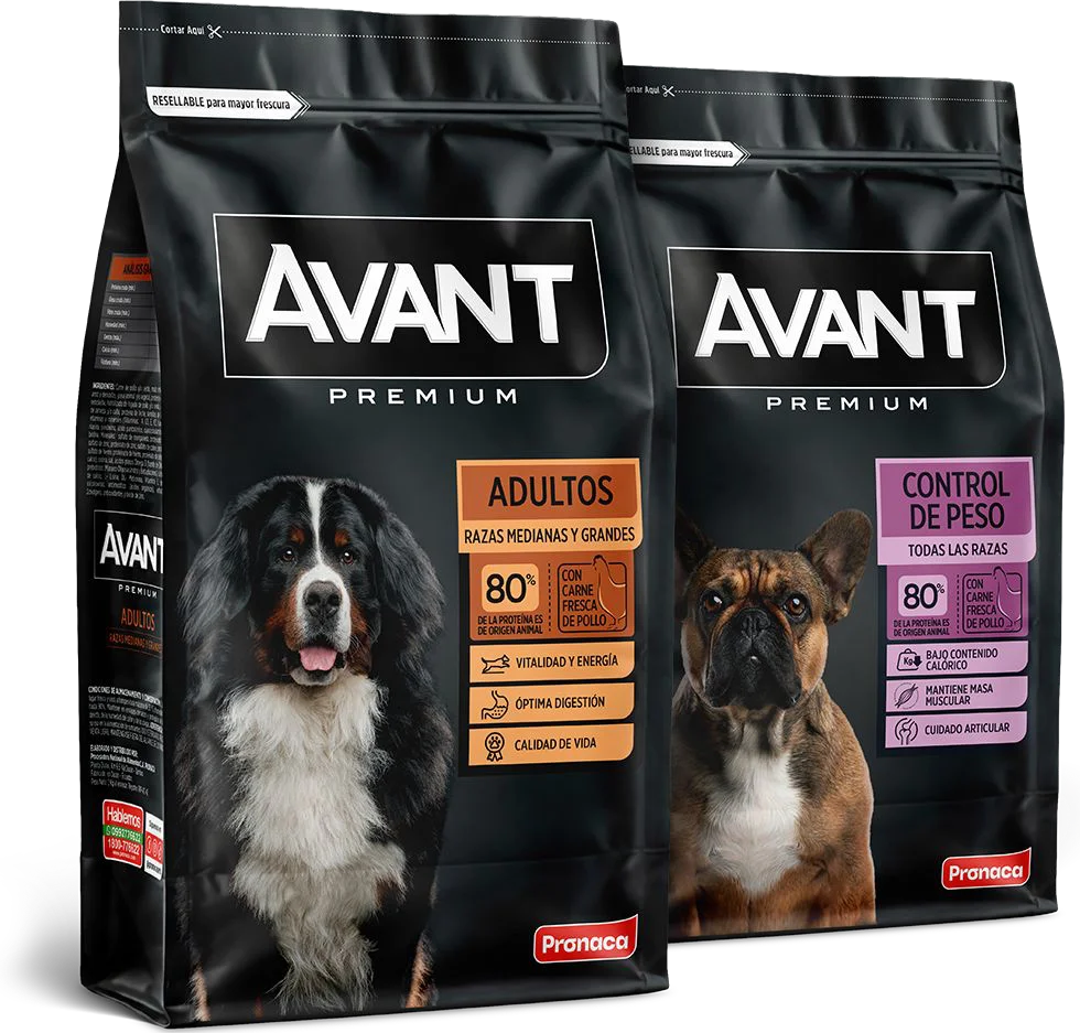 Avant: imagen 1 del caso