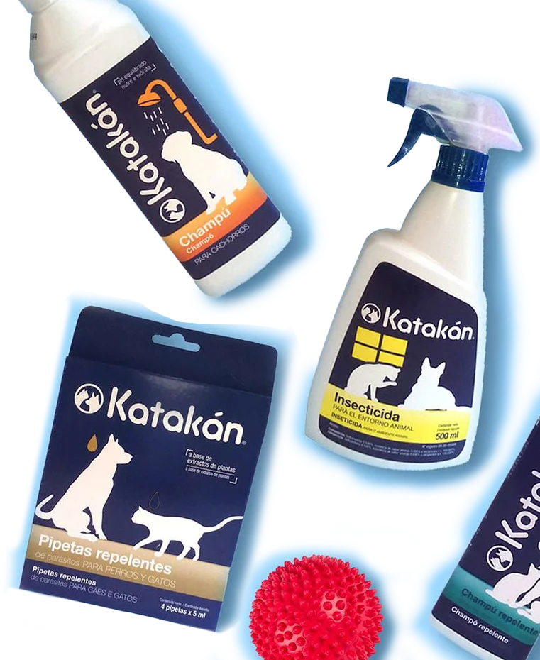 Katakán: imagen 1 del caso