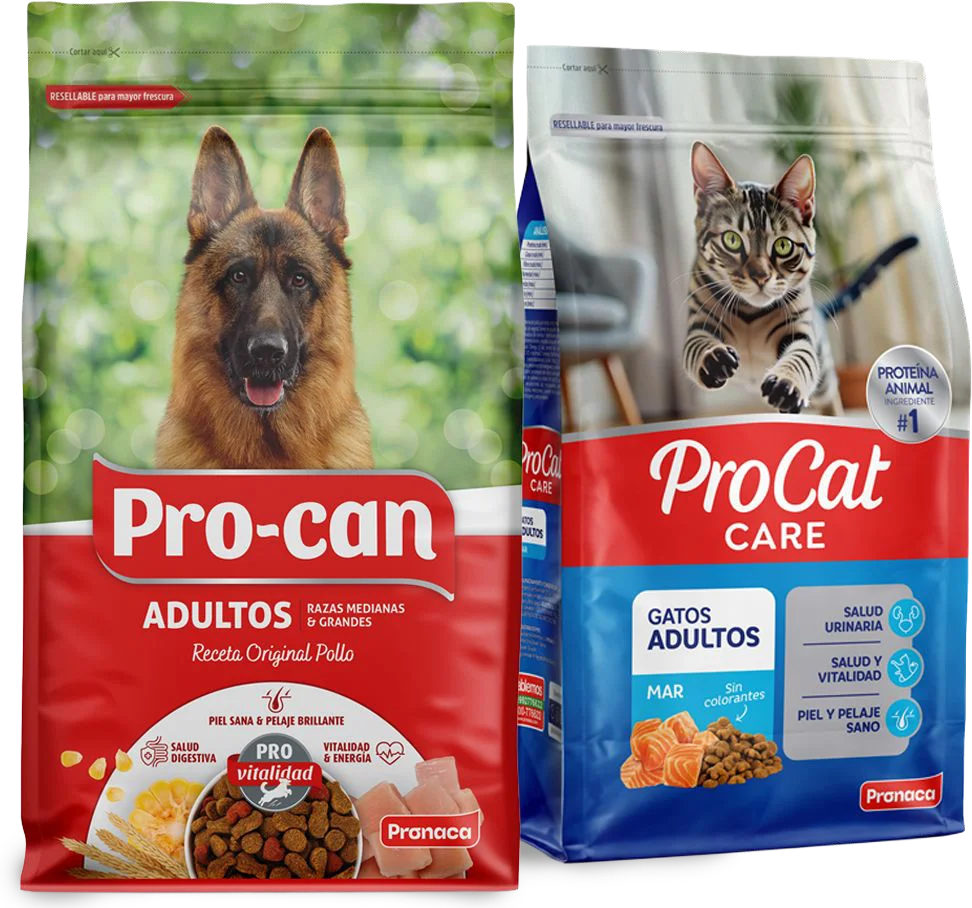 Pro-can y ProCat: imagen 1 del caso
