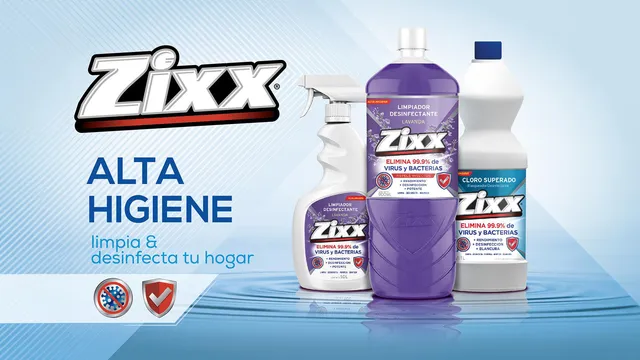 Zixx: imagen 2 del caso